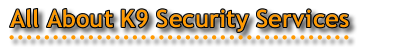 Security Services Contact